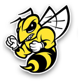 Randolph Macon College Baseball